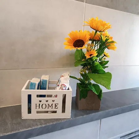 Ale's House 아파트 몬세라토